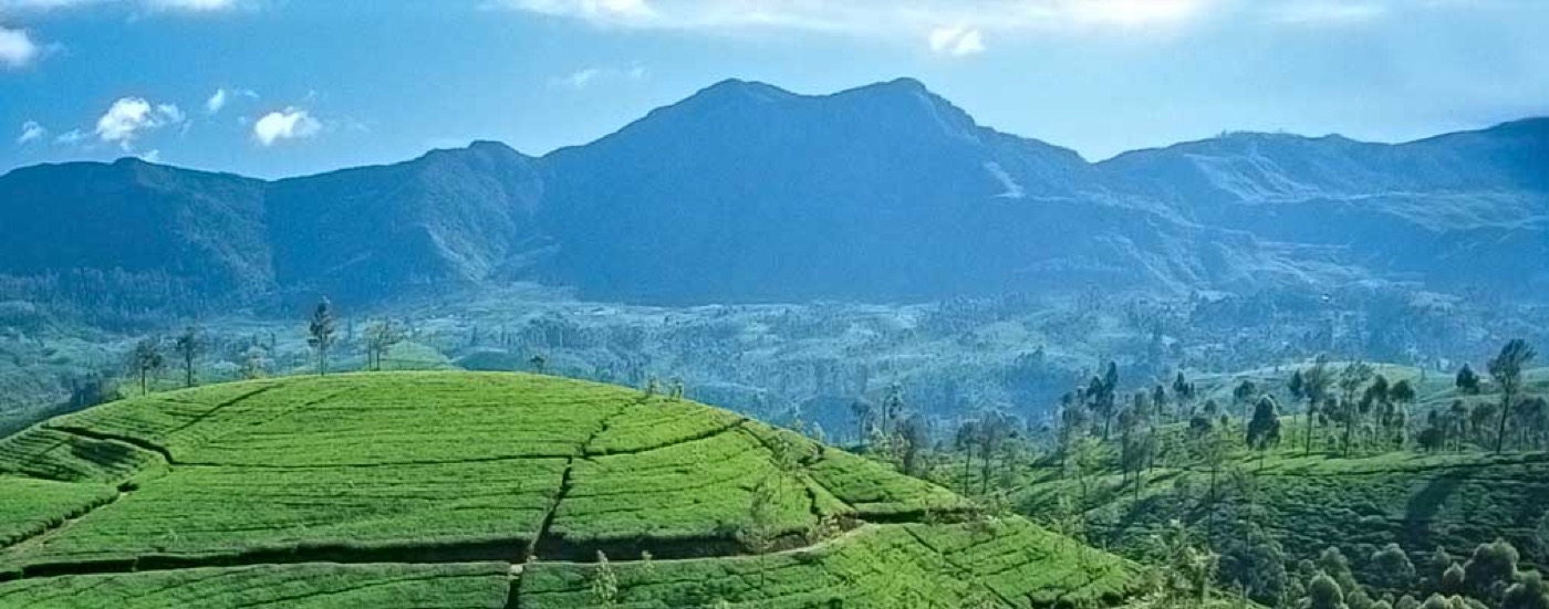 Nuwara Eliya